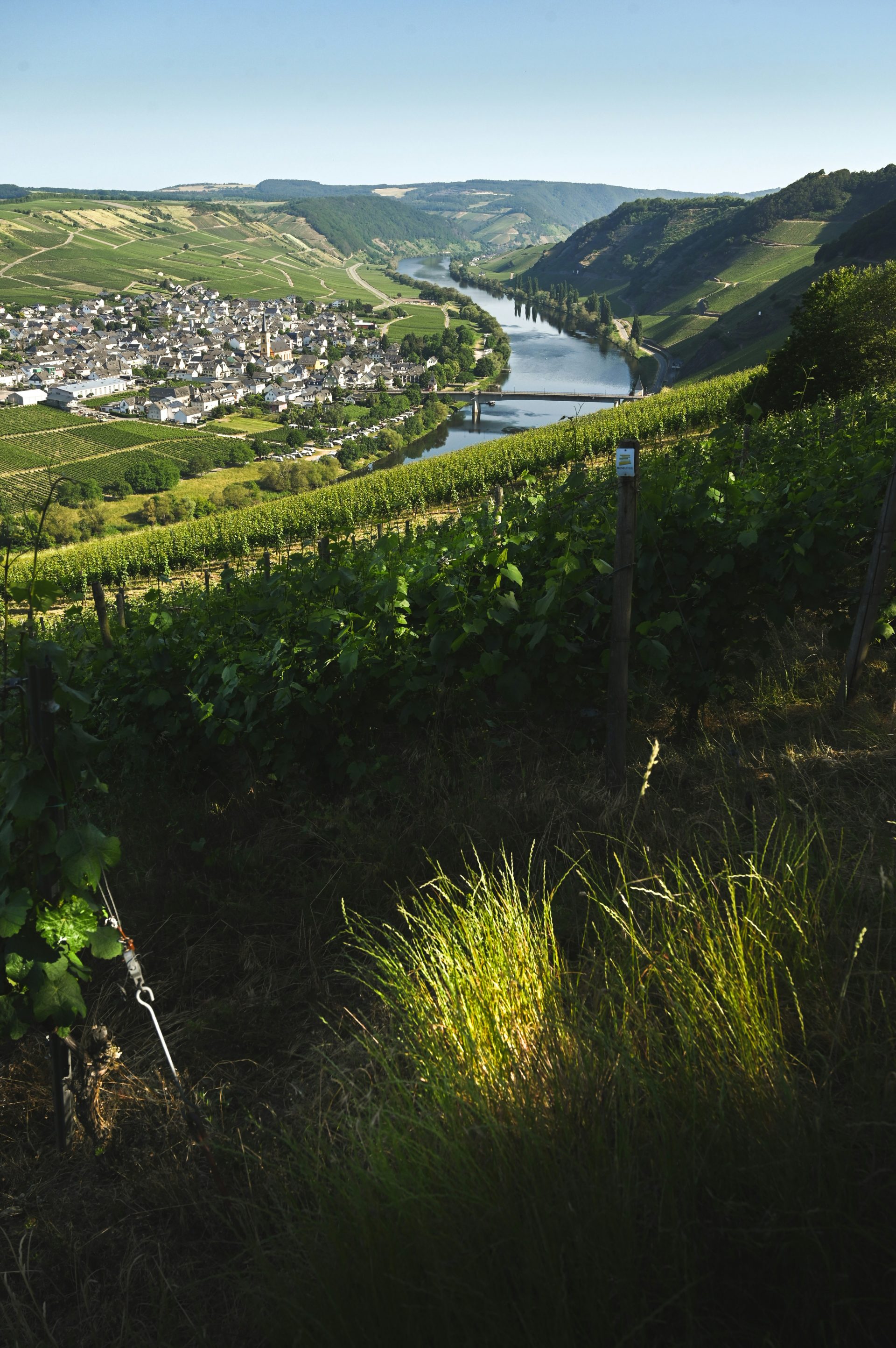 a view of a town and a river from a hill